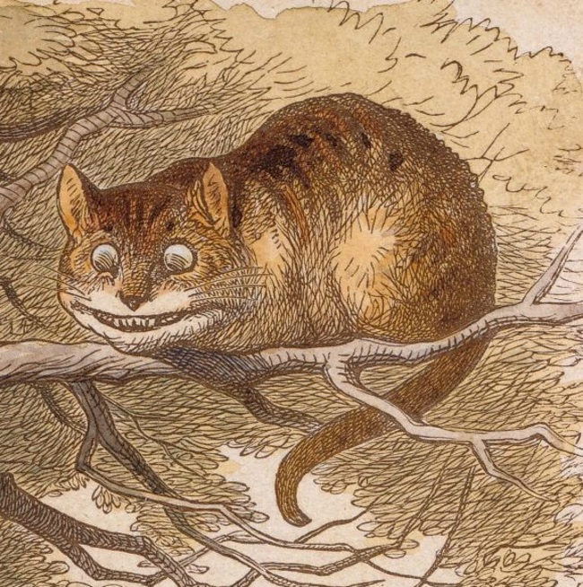 Pet Talk: What is a Cheshire Cat?