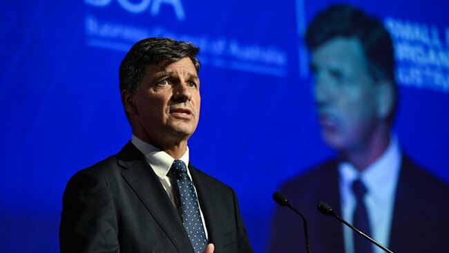 Who are the potential new leaders of the Liberal Party?