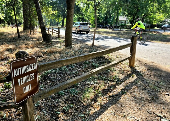 Modest proposal for South Park Drive | Editorial