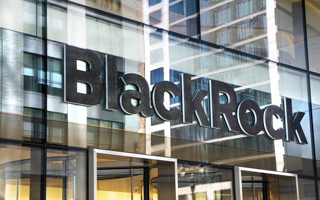 More than 200 S&P 500 companies scrubbed 'diversity' and 'equity' from annual reports in 2025