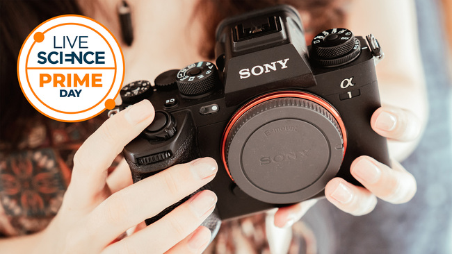 Don't miss out on over $1400 off the Sony A1. Only six left, and not on Amazon!
