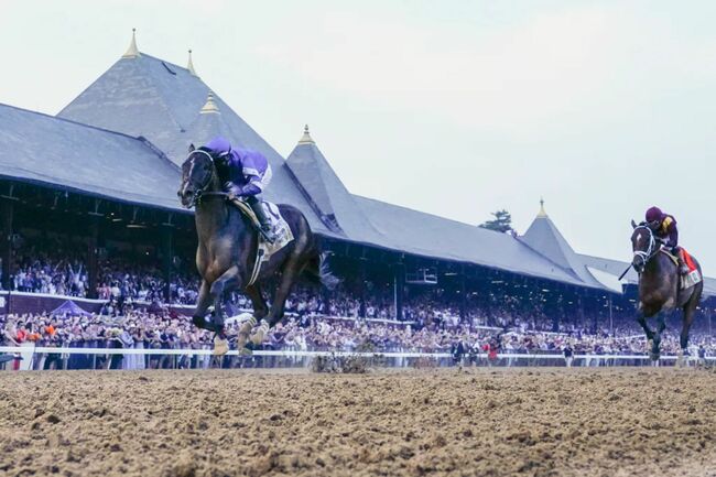 Breaking down every facet of upcoming Saratoga meet