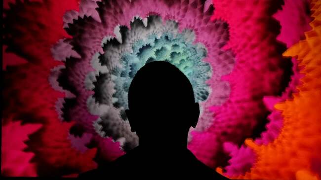 'Why pay $69m for something anyone can see online?' Why many art collectors are staying away from NFTs