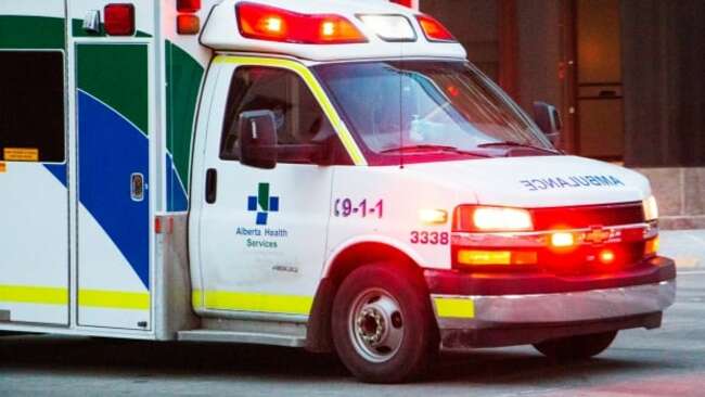 EMS response to fatal dog attack in Calgary to be reviewed by HQCA and outside experts