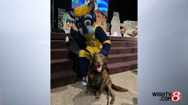 Pet Pals TV: Willie the therapy dog retires, new pups ready to take the lead