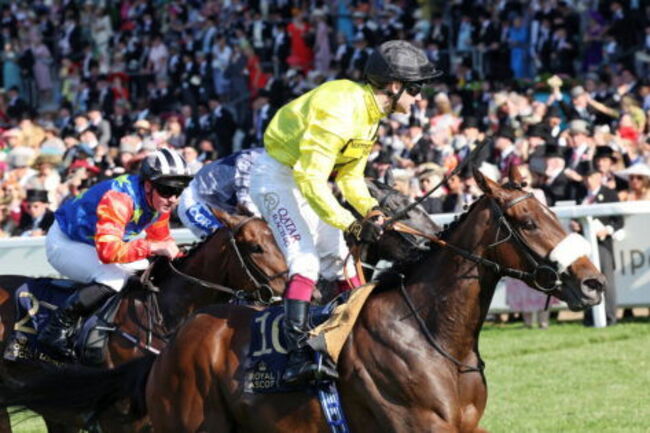 Surviving Car Crash, Jockey Confirms Return to Horse Racing at Breeders’ Cup