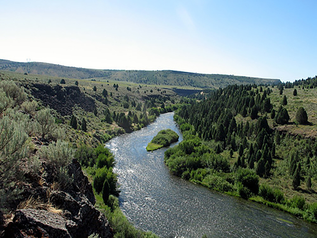 Life-size sex doll found in Idaho river after cops spend 3 hours searching for reported body