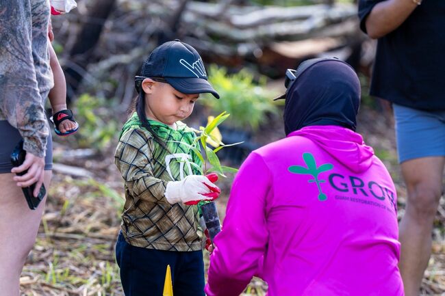 Over 1,200 trees planted in University of Guam’s Guam Restoration of Watersheds initiative in Malojloj
