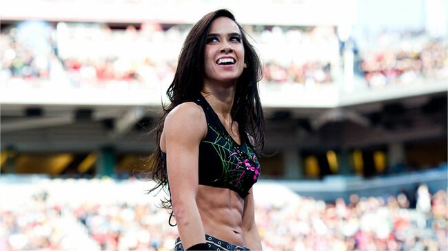 AJ Lee Accidentally Brought Up on WWE RAW