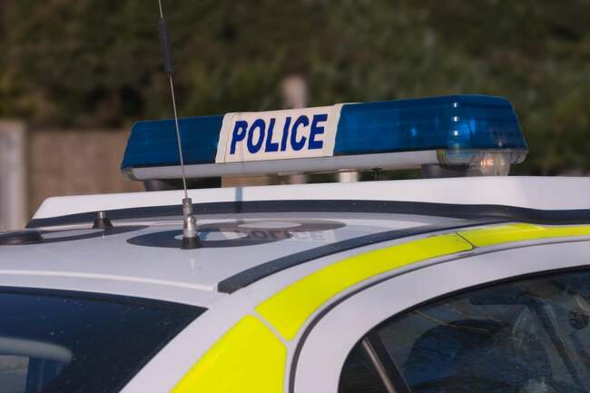 Reports of animals being killed by catapults in Bourne