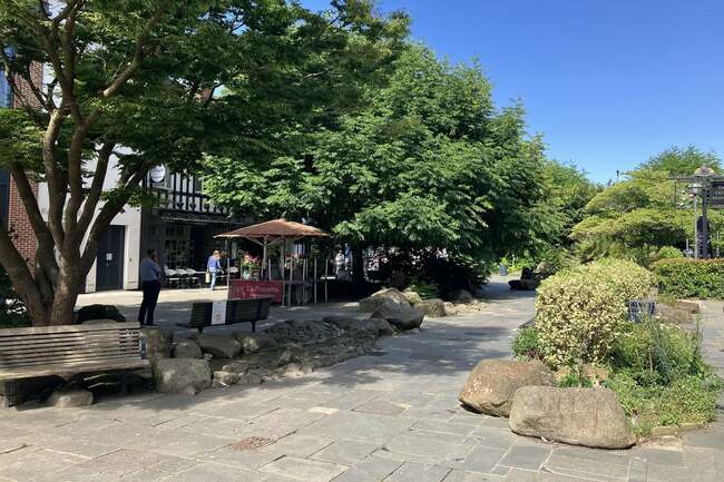 More than 800 sign petition to save town's 'little oasis'