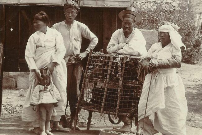 Chickens, dogs and summer heat