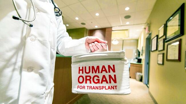 Committee favours cancellation of kidney transplant licences of two hospitals