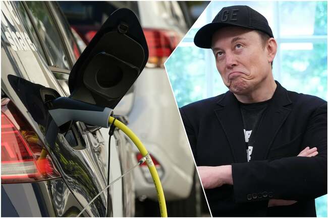 What will Elon Musk’s Tesla Electric powering UK homes mean for energy bills and Powerwall customers - news