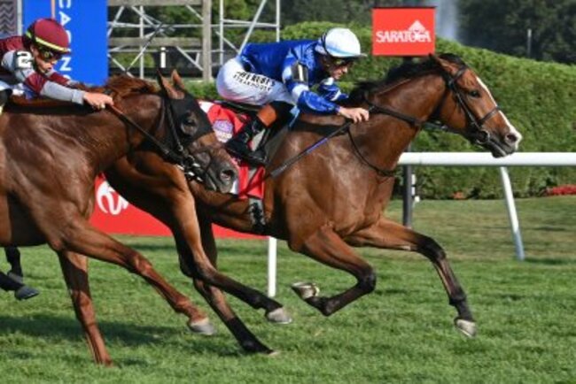 Big weekend for Godolphin on turf points to Breeders' Cup