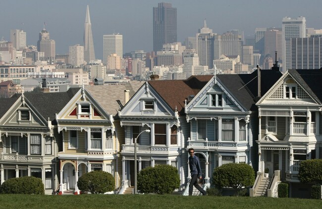 San Francisco’s famous ‘Painted Ladies’ host a honey-bear art show
