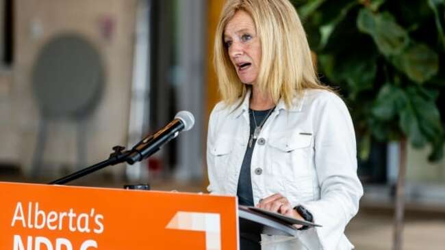 External firm to examine staff and volunteer mistreatment by NDP, Notley says