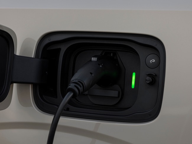 No cars available for full Electric Car Grant nearly a month after launch