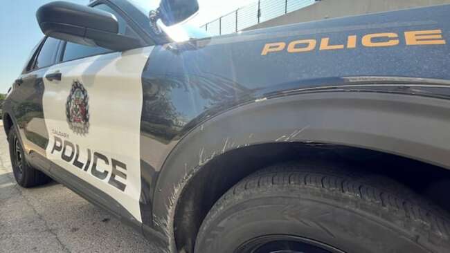 Calgary police investigating report of active shooter in Crescent Heights