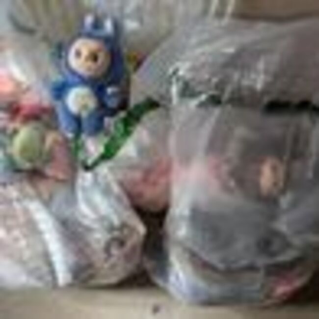 Labubu dolls raid as over 100 fakes seized from shops in Moray