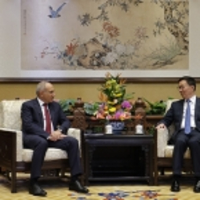 Armenia, China explore prospects for deeper ties