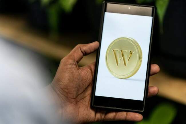 Wealthsimple says some SINs accessed in ‘data security incident’