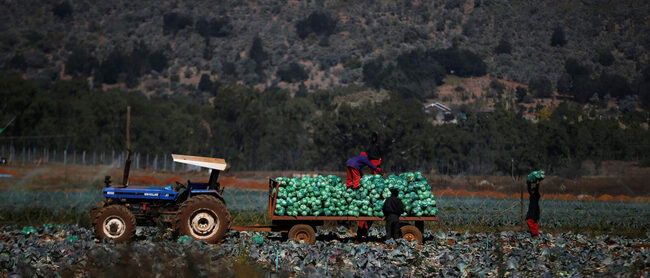 Police accused of protecting farmer suspected of lynching farm dweller 