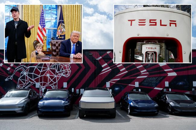 Tesla market share in US drops to lowest since 2017 as Elon Musk pivots to robotaxis