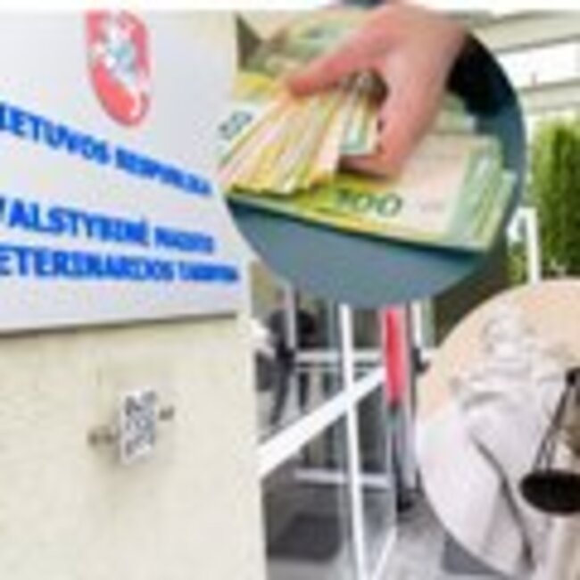 Neeilinė istorija: teismas iš VMVT priteisė 345 tūkst. eurų už darbą, kurį direktorė vadina nukopijuotu
