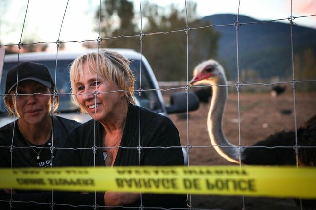 CFIA gets ready for cull on BC ostrich farm after outbreak of avian influenza