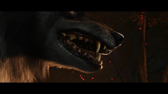 All wolf abilities in Ghost of Yotei (and how to call the wolf)