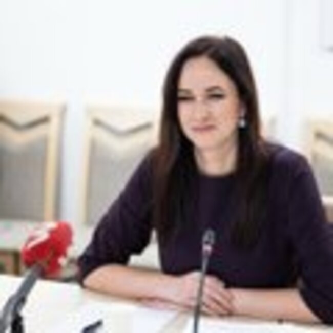 Ruginienė – prieš Žemaitaičio siūlymą naikinti KT: net nėra apie ką šnekėti