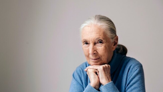 I worked with Jane Goddall. She had the energy of a stalking lion