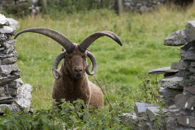 Lottery Trust grant for new farming website