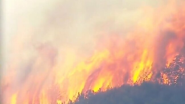Campers forced to evacuate as bushfire engulfs Moreton Island scrub