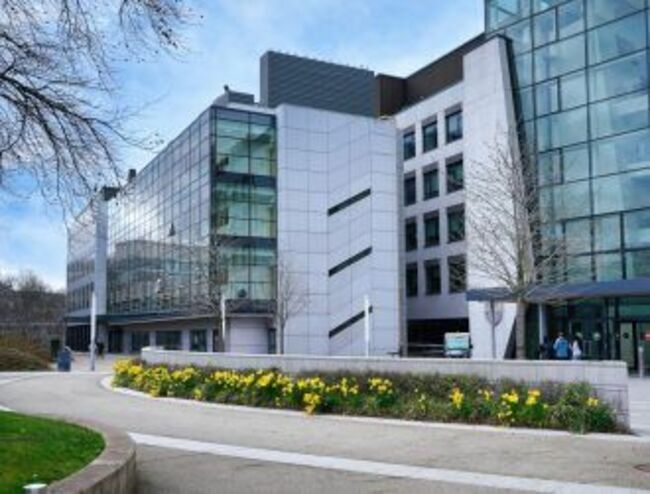 Ireland’s biggest cancer research programme gets €28m for new phase