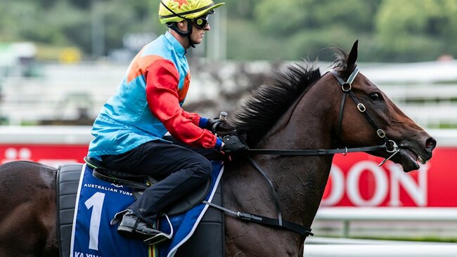 Beadman defends Ka Ying Rising as doubts grow about $20m Everest favourite