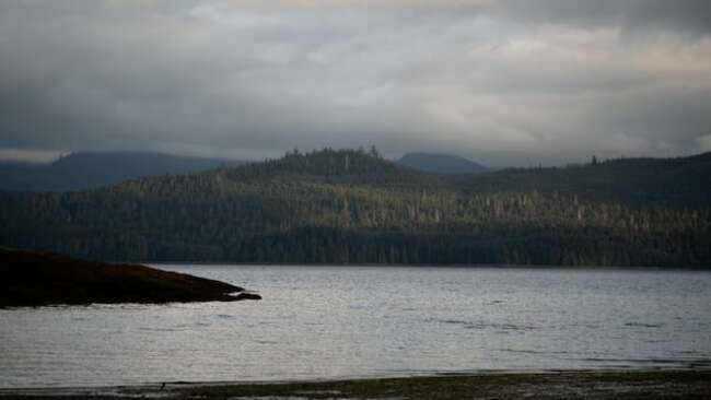 3 Indigenous-led marine refuges established off B.C.'s North Coast