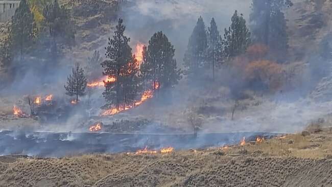 Wildfire breaks out in Knox Mountain park near downtown Kelowna, B.C.