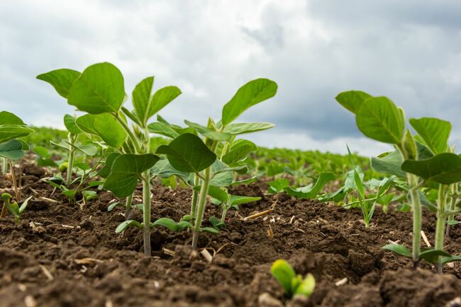 Opinion: Policy paradox plays out in US