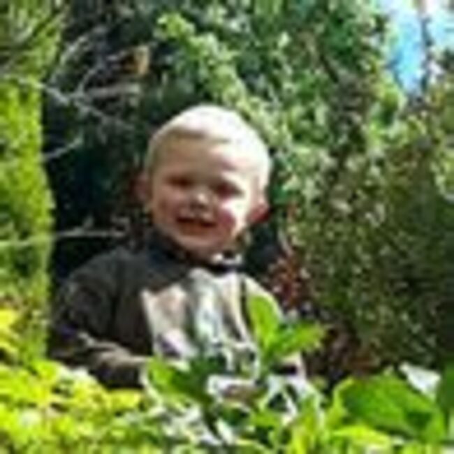 Dog involved in fatal attack on boy, 3, will be destroyed, court rules