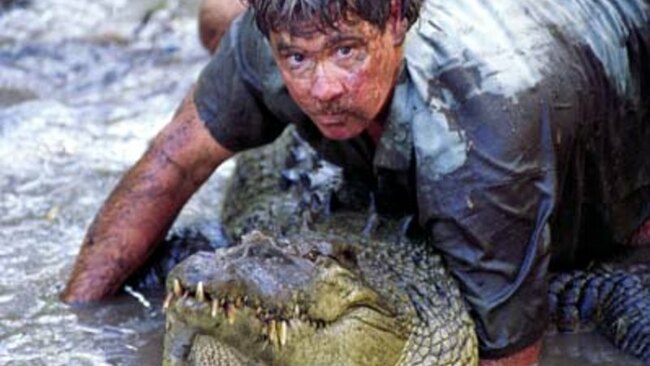 Steve Irwin released this croc decades ago. Now 4-metre monster is at Australia Zoo and people are not happy