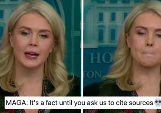 Karoline Leavitt accused California of holding fraudulent elections, without providing a scrap of evidence (other than her hurt feelings)