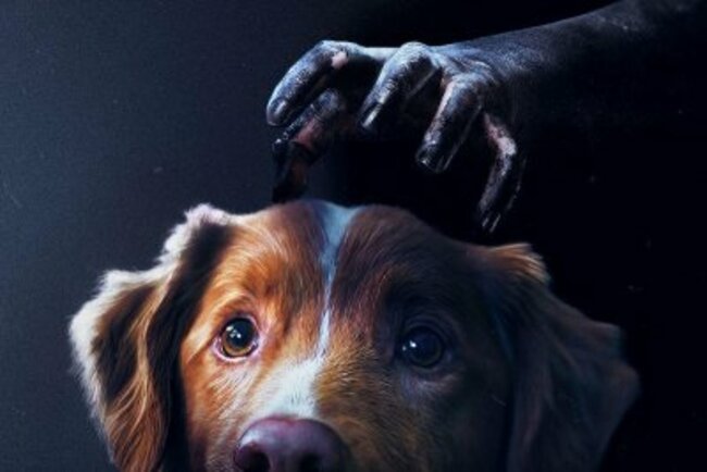 'Good Boy' to start streaming Nov. 21 on Shudder