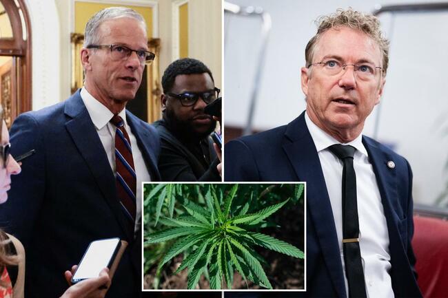 Proposed hemp ban tucked into federal funding bill could stall end to gov’t shutdown