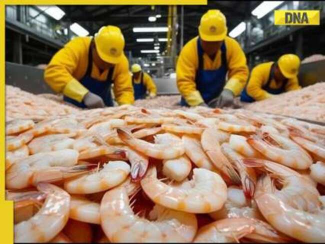 THIS Asian country is second largest shrimp producer in the world after Ecuador, producing 1.1 million tonnes annually, not China, Japan, Singapore or Korea, it is...