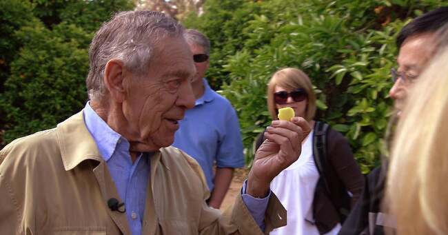 The supertasters flavoring your food: "The Flavorists" | 60 Minutes Archive