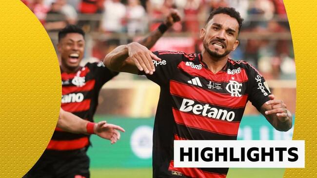 Copa Libertadores Highlights: Palmeiras 0-1 Flamengo