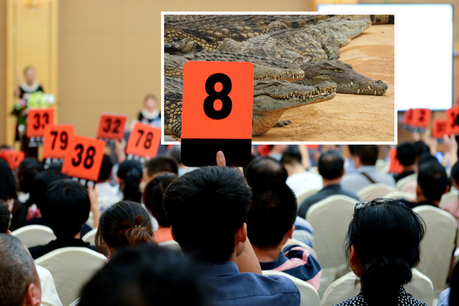 Na aukciji u Sotbiju dela starih majstora, mnoga nisu viđena više od veka