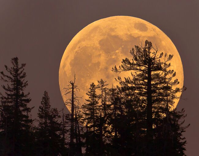 Thursday's Cold Moon Is the Last Supermoon of the Year. Here's How and When to View It